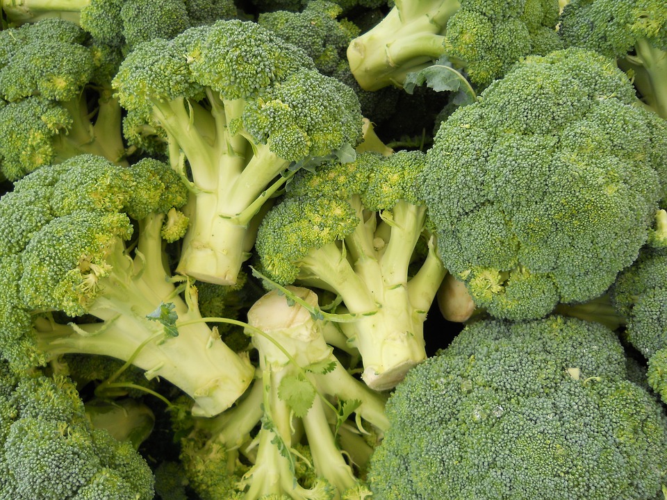 Brokoli verduras compra online