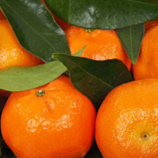mandarina biozaki