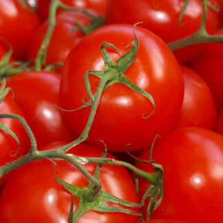 tomate maduro heldua